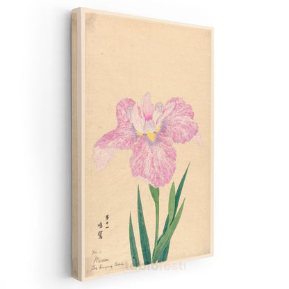 Ohara Koson - Pembe İris Çiçeği Japon Tarzı İllüstrasyon Kanvas Tablo