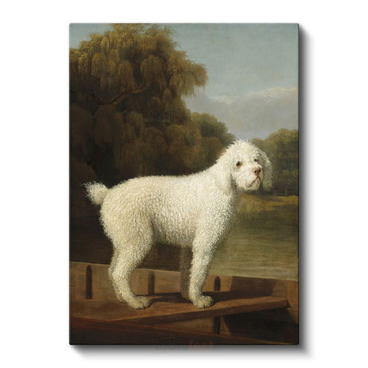 George Stubbs - Beyaz Köpek Portresi Kanvas Tablo