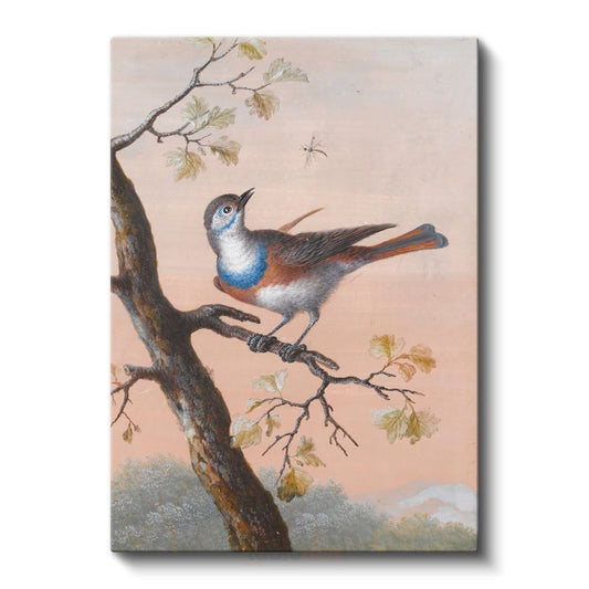 John James Audubon - Mavi Göğüslü Kuş Kanvas Tablo