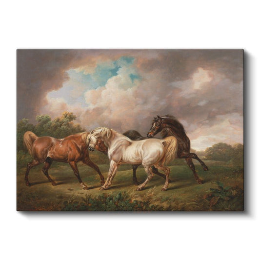 George Stubbs - Çayırda Atlar Kanvas Tablo