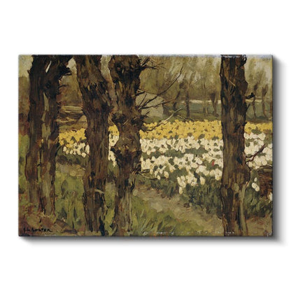 Vincent van Gogh - Nergis Bahçesi Kanvas Tablo