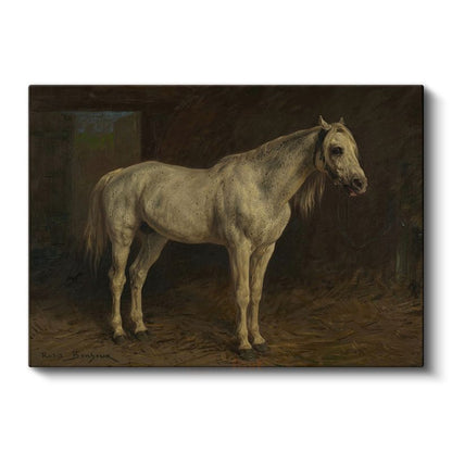 Rosa Bonheur - Beyaz At Kanvas Tablo