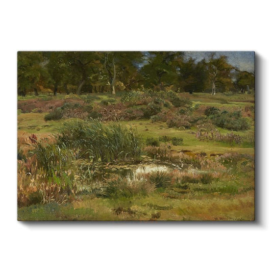 William Trost Richards - Bataklık Manzarası Kanvas Tablo
