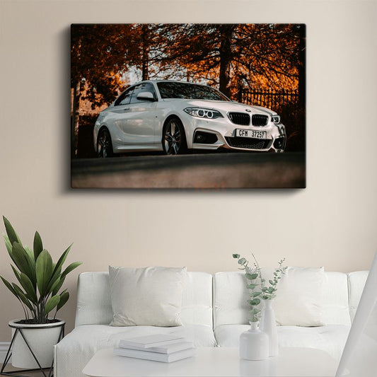 BMW 2 Serisi - Sonbahar Manzarasında Spor Coupe Kanvas Tablo