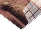 Tamperli Gerçek Cam Tablo Atatürk Detaylı Yüz Hatları Çizim Atatürk Tablosu Duvar Dekoru