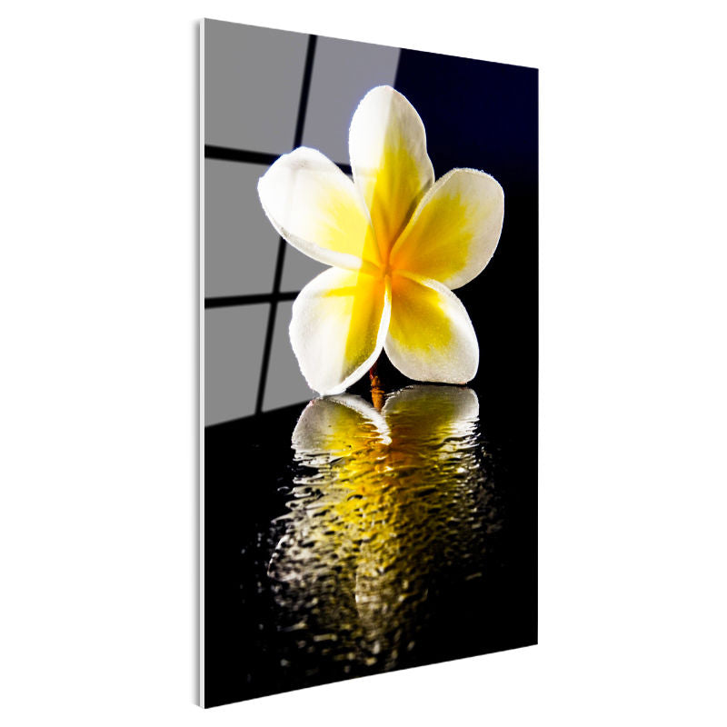 Tamperli Gerçek Cam Tablo Sarı Beyaz Plumeria Yansıma Çiçek Tablosu Duvar Dekoru
