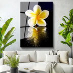 Tamperli Gerçek Cam Tablo Sarı Beyaz Plumeria Yansıma Çiçek Tablosu Duvar Dekoru