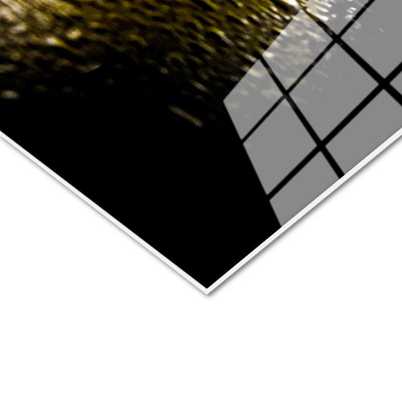 Tamperli Gerçek Cam Tablo Sarı Beyaz Plumeria Yansıma Çiçek Tablosu Duvar Dekoru