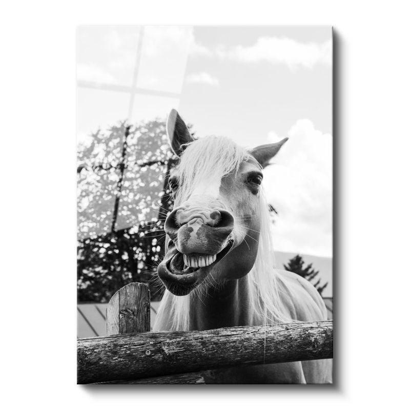 Tamperli Gerçek Cam Tablo Sempatik Yüz İfadesi At Tablosu Duvar Dekoru