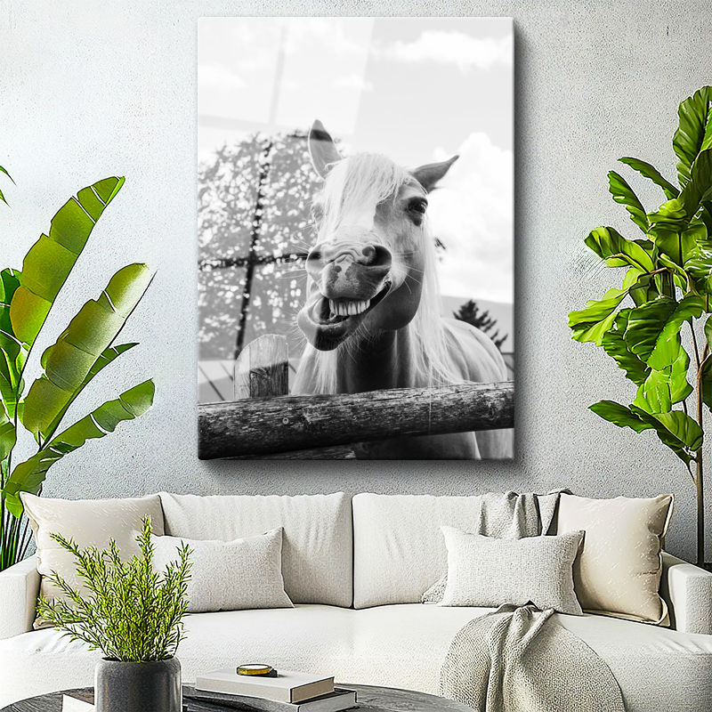 Tamperli Gerçek Cam Tablo Sempatik Yüz İfadesi At Tablosu Duvar Dekoru