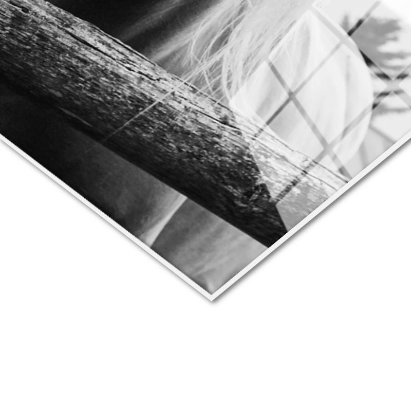 Tamperli Gerçek Cam Tablo Sempatik Yüz İfadesi At Tablosu Duvar Dekoru