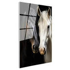 Tamperli Gerçek Cam Tablo Zıt Tonlu İkili At Tablosu Duvar Dekoru