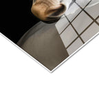 Tamperli Gerçek Cam Tablo Zıt Tonlu İkili At Tablosu Duvar Dekoru