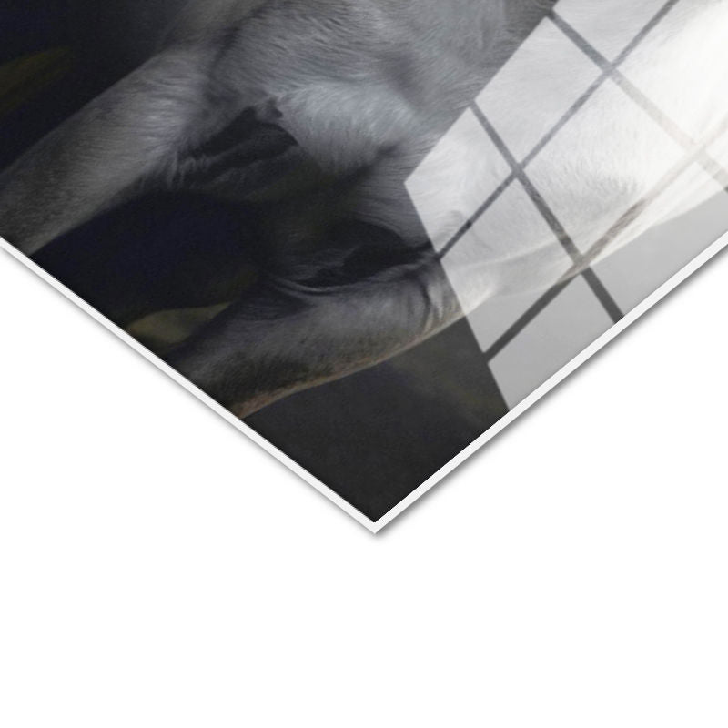 Tamperli Gerçek Cam Tablo Duygusal Temalı İkili At Tablosu Duvar Dekoru