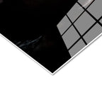 Tamperli Gerçek Cam Tablo Parlak Tüylü At Tablosu Duvar Dekoru