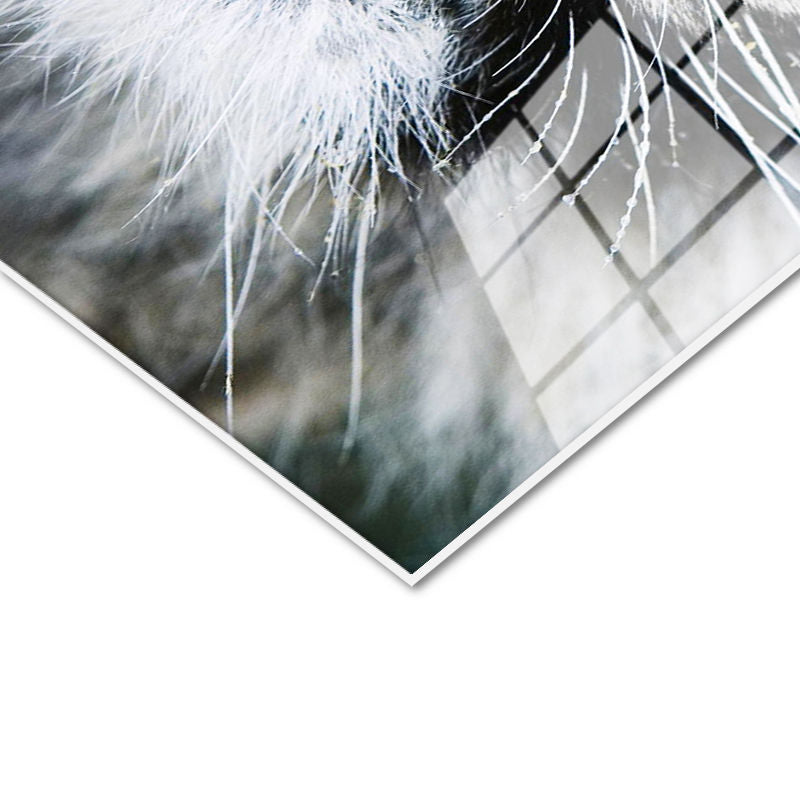 Tamperli Gerçek Cam Tablo Simetrik Yüz Detay Kaplan Tablosu Duvar Dekoru