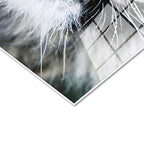 Tamperli Gerçek Cam Tablo Simetrik Yüz Detay Kaplan Tablosu Duvar Dekoru