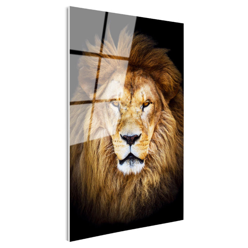 Tamperli Gerçek Cam Tablo Simetrik Yüz Hatlı Aslan Tablosu Duvar Dekoru
