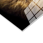 Tamperli Gerçek Cam Tablo Simetrik Yüz Hatlı Aslan Tablosu Duvar Dekoru