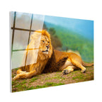 Tamperli Gerçek Cam Tablo Yeşil Çimen Zemin Aslan Portresi Aslan Tablosu Duvar Dekoru