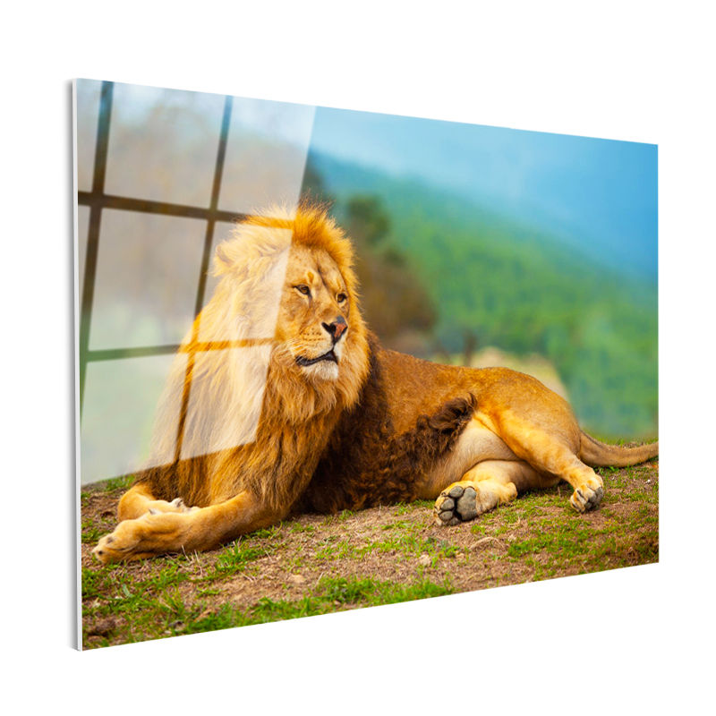 Tamperli Gerçek Cam Tablo Yeşil Çimen Zemin Aslan Portresi Aslan Tablosu Duvar Dekoru