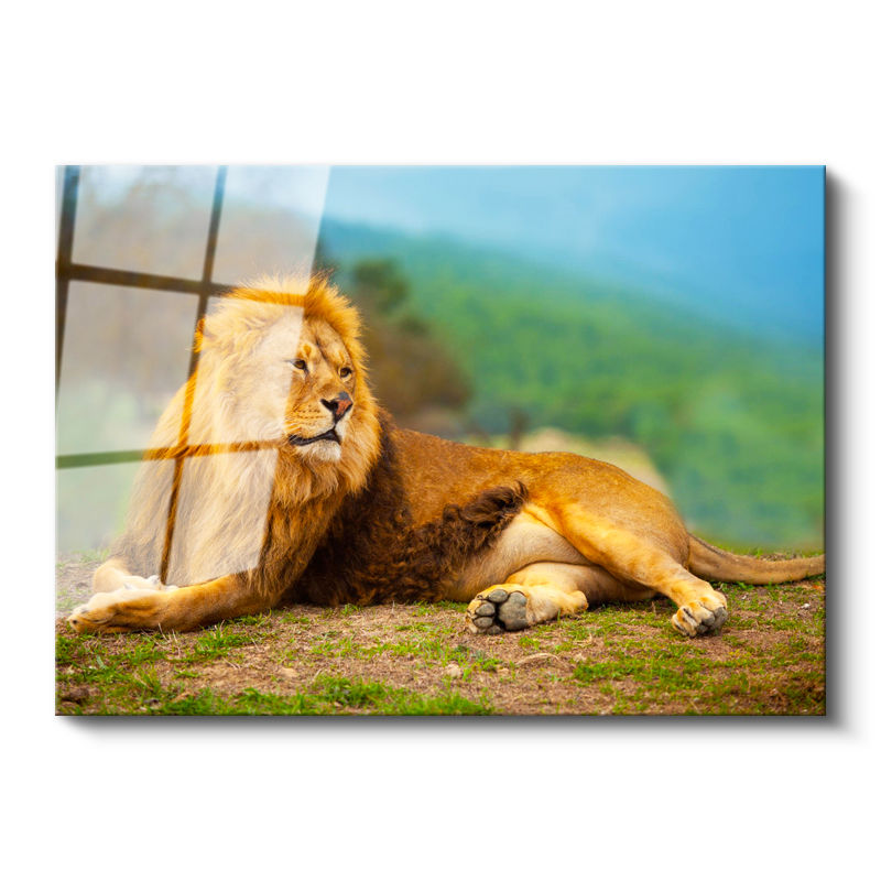 Tamperli Gerçek Cam Tablo Yeşil Çimen Zemin Aslan Portresi Aslan Tablosu Duvar Dekoru