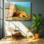 Tamperli Gerçek Cam Tablo Yeşil Çimen Zemin Aslan Portresi Aslan Tablosu Duvar Dekoru