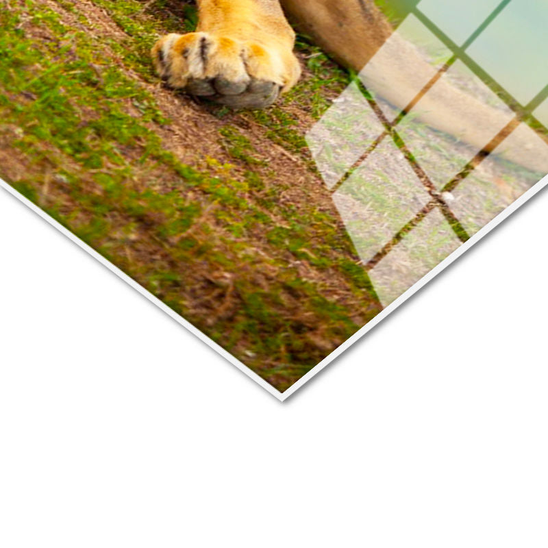 Tamperli Gerçek Cam Tablo Yeşil Çimen Zemin Aslan Portresi Aslan Tablosu Duvar Dekoru