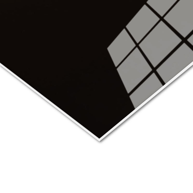 Tamperli Gerçek Cam Tablo Portre Duruşlu Aslan Başı Aslan Tablosu Duvar Dekoru