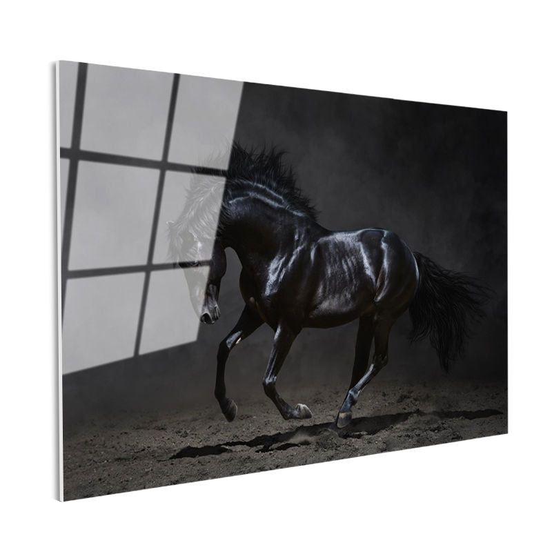 Tamperli Gerçek Cam Tablo Kaslı Siyah Aygır At Tablosu Duvar Dekoru