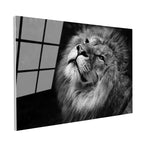 Tamperli Gerçek Cam Tablo Gökyüzüne Bakan Aslan Portresi Aslan Tablosu Duvar Dekoru