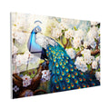 Tamperli Gerçek Cam Tablo Çiçekli Dal Tavus Kuşu Tablosu Duvar Dekoru
