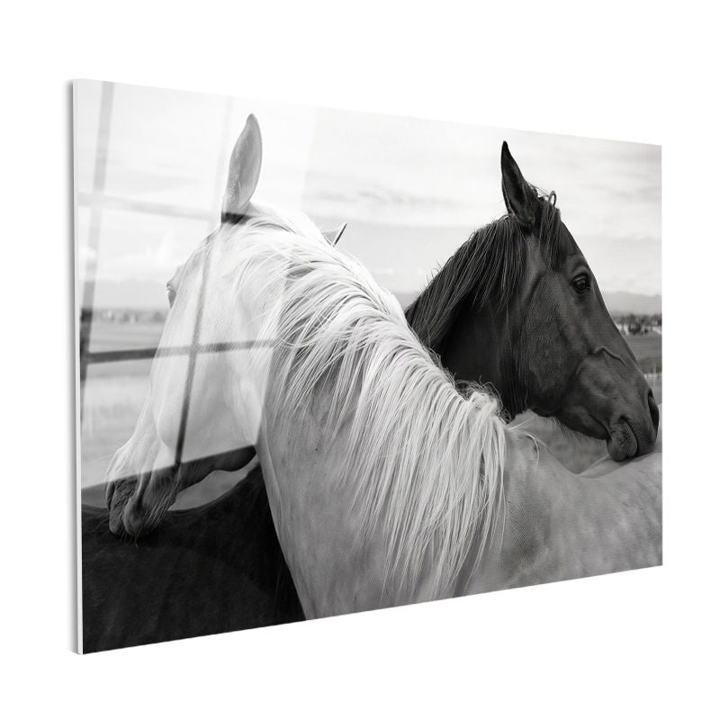 Tamperli Gerçek Cam Tablo İkili Portre At Tablosu Duvar Dekoru