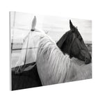 Tamperli Gerçek Cam Tablo İkili Portre At Tablosu Duvar Dekoru