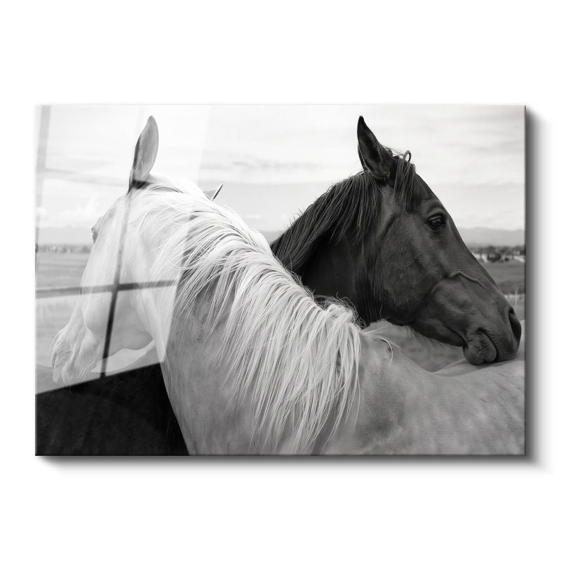 Tamperli Gerçek Cam Tablo İkili Portre At Tablosu Duvar Dekoru