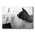 Tamperli Gerçek Cam Tablo İkili Portre At Tablosu Duvar Dekoru