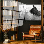 Tamperli Gerçek Cam Tablo İkili Portre At Tablosu Duvar Dekoru