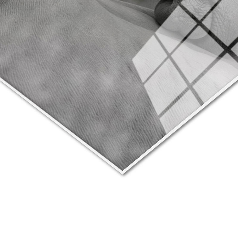 Tamperli Gerçek Cam Tablo İkili Portre At Tablosu Duvar Dekoru