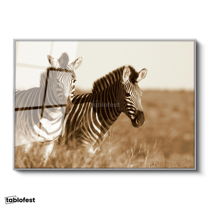 Gümüş Renk Metal Çerçeveli Tamperli Cam Tablo Kuru Otlar Arasında İki Zebra Zebra Tablosu Duvar Dekoru