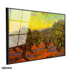 Siyah Renk Metal Çerçeveli Tamperli Cam Tablo Vincent van Gogh Zeytin Ağaçları Tarlası Ressam Tablosu Dekoru
