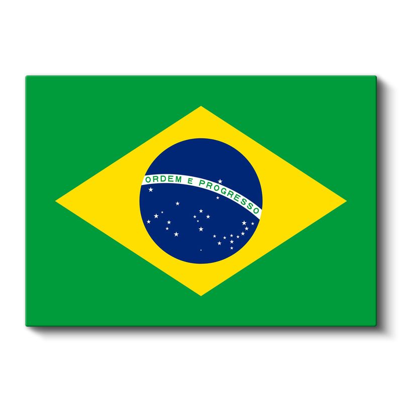 Brezilya Bayrağı - Kanvas Tablo