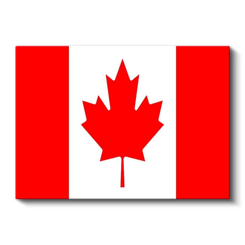 Kamerun Bayrağı - Kanvas Tablo