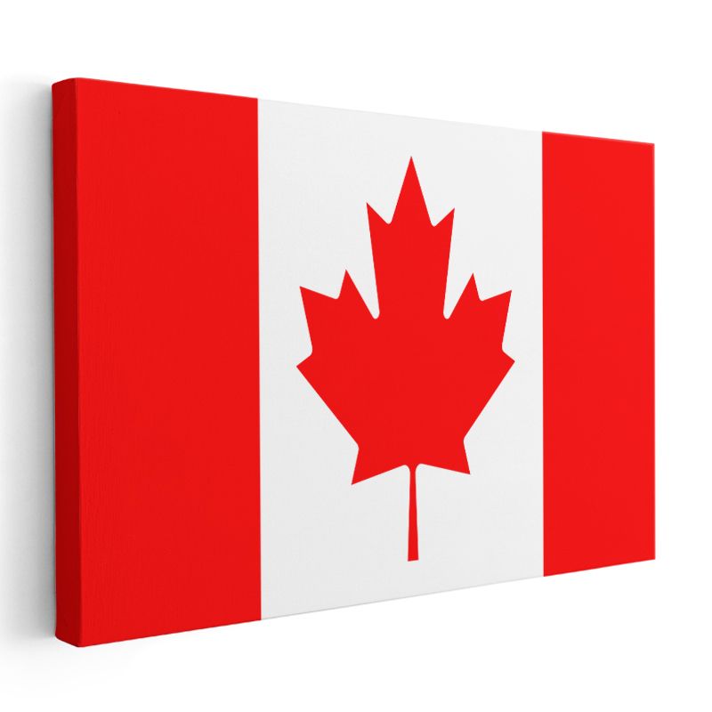 Kamerun Bayrağı - Kanvas Tablo