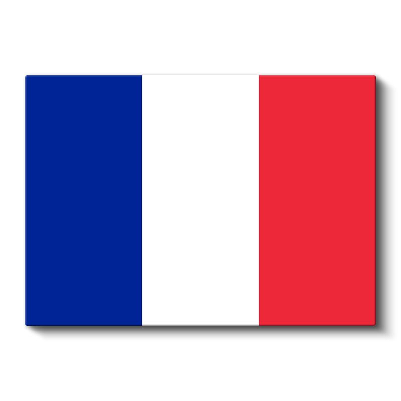 Fransa Bayrağı - Kanvas Tablo