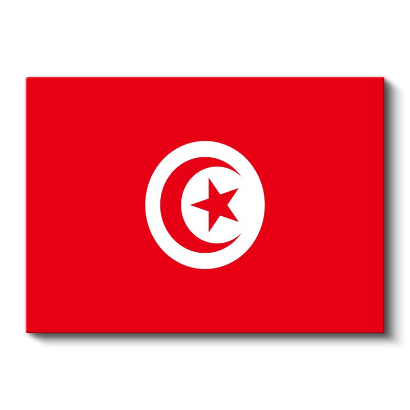 Tunus Bayrağı - Kanvas Tablo