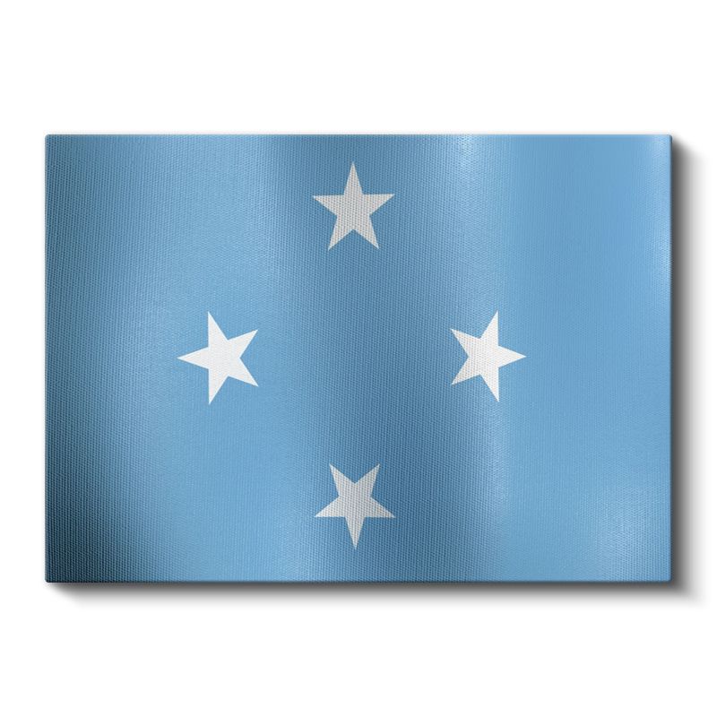 Mikronezya Bayrağı - Dalgalı Görünüm Kanvas Tablo