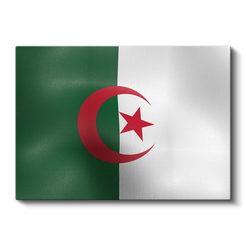 Cezayir Bayrağı - Dalgalı Görünüm Kanvas Tablo