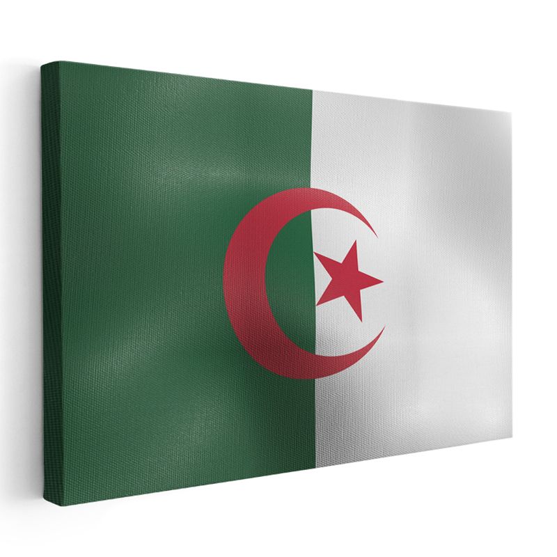 Cezayir Bayrağı - Dalgalı Görünüm Kanvas Tablo