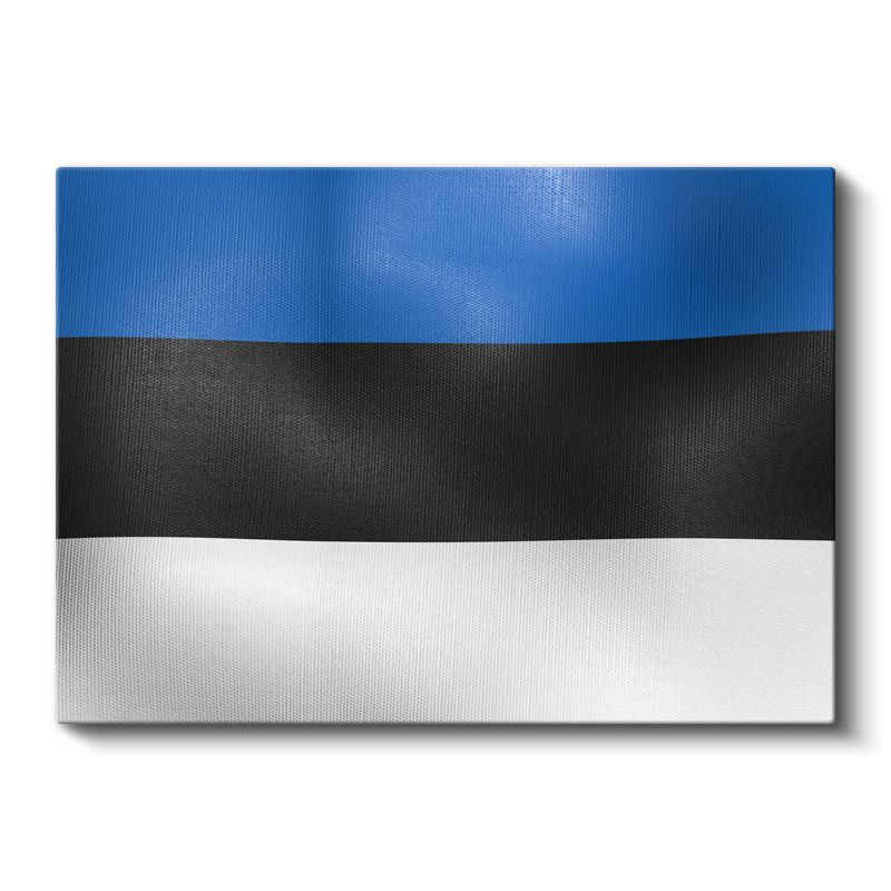 Estonya Bayrağı - Dalgalı Görünüm Kanvas Tablo