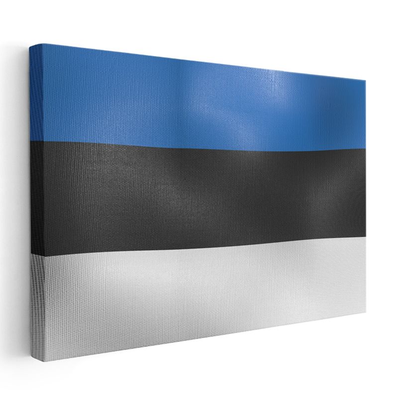 Estonya Bayrağı - Dalgalı Görünüm Kanvas Tablo
